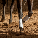 Classic Equine Airwave Splint Boot