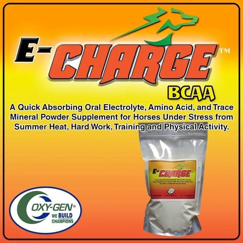OxyGen Echarge electrolyte